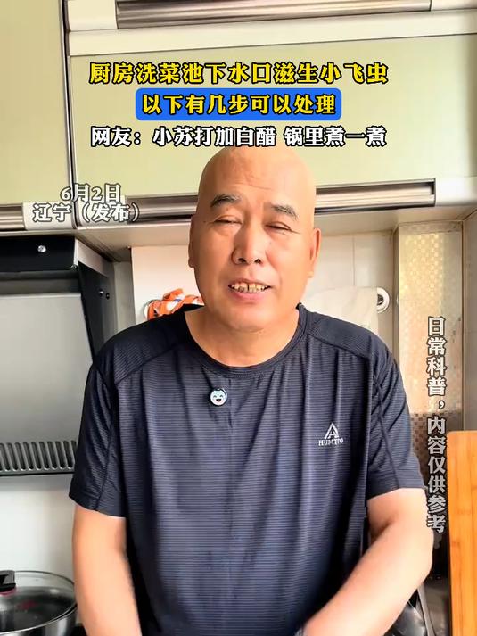 厨房洗菜池下水口滋生小飞虫，有几步可以处理，小苏打加白醋