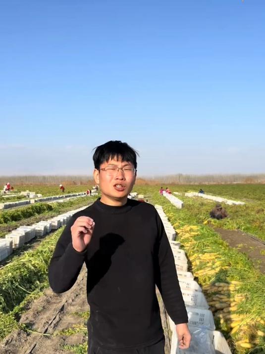 又脆又甜生吃煲汤炒菜凉拌都好吃的新疆黄萝卜