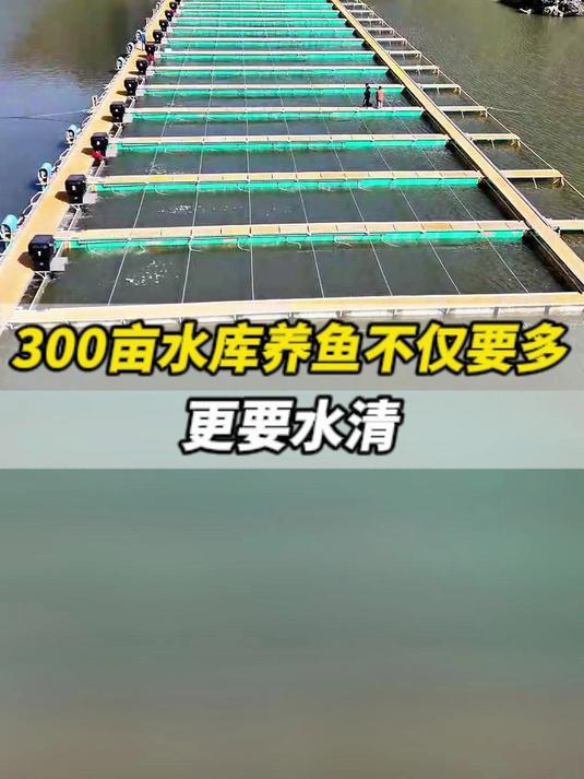 300亩水库养鱼不仅要多,更要水清