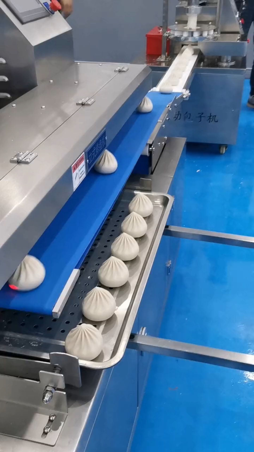 包子摆盘机,全自动包子机