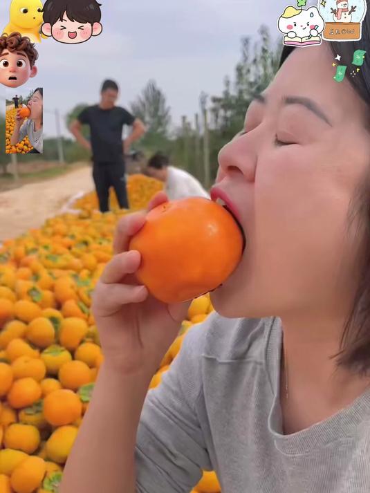 正宗巧克力柿子，果肉细腻，天然香甜超好吃！#春节#
