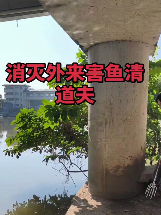 消灭外来害鱼清道夫之鱼叉消灭清道夫