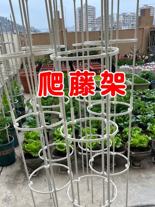 春天可以种上各种瓜果蔬菜,准备好这个植物爬藤架,瓜果大丰收
