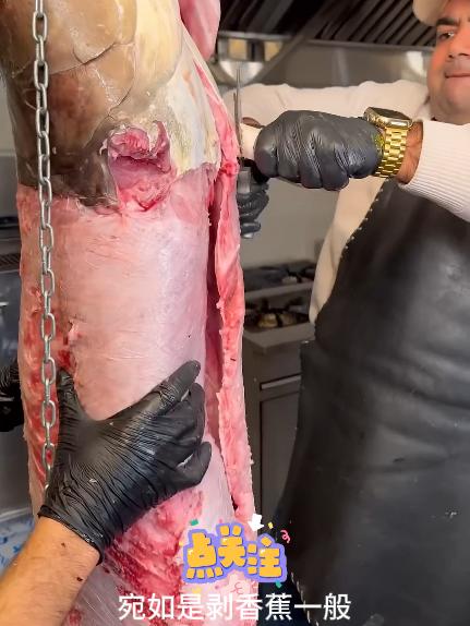 90斤的大鱼吊起来比人还高,看伊朗的大厨怎么杀了做美食的