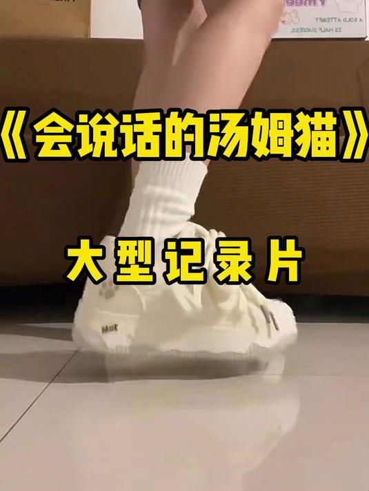 TALKING TOM 会说话的汤姆猫 空军一号