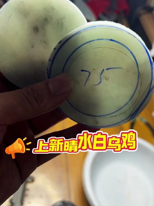 12月8日新切的晴水白乌鸡 种老肉细,肉细的料子起货都高