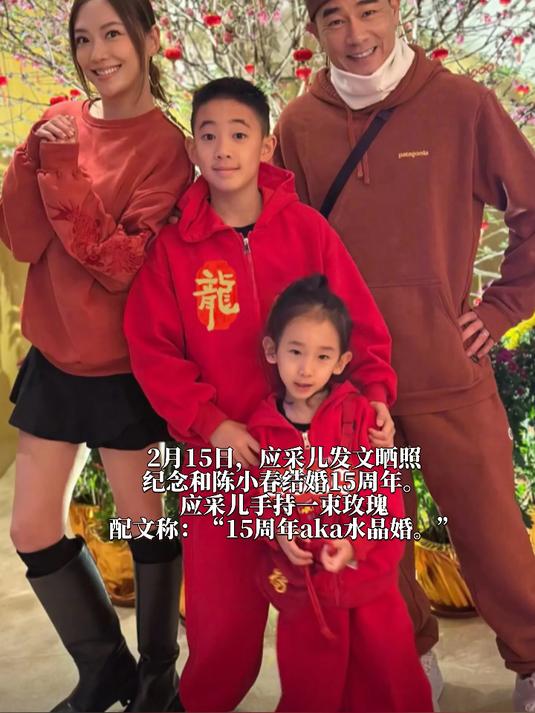 应采儿发文,庆祝与陈小春结婚15年,15周年aka水晶婚
