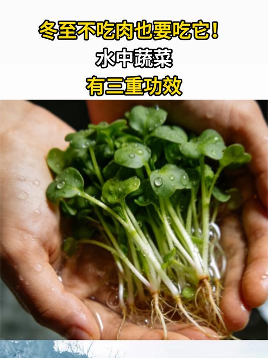 冬至不吃肉也要吃它!水中蔬菜有三重功效