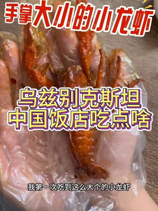 手掌大小的小龙虾中国饭店的美食Magic city