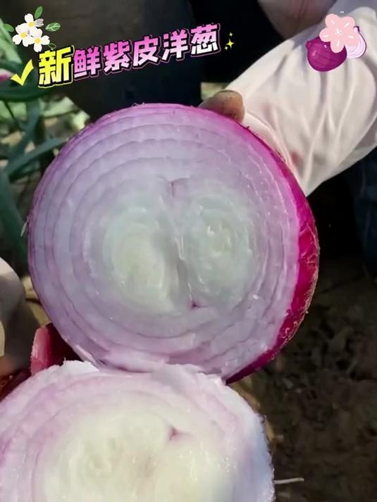 炒软后甜香四溢,做洋葱圈、炖菜都好吃,全家都爱这口鲜