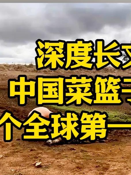 中国菜篮子,藏着一个全球第一的秘密?