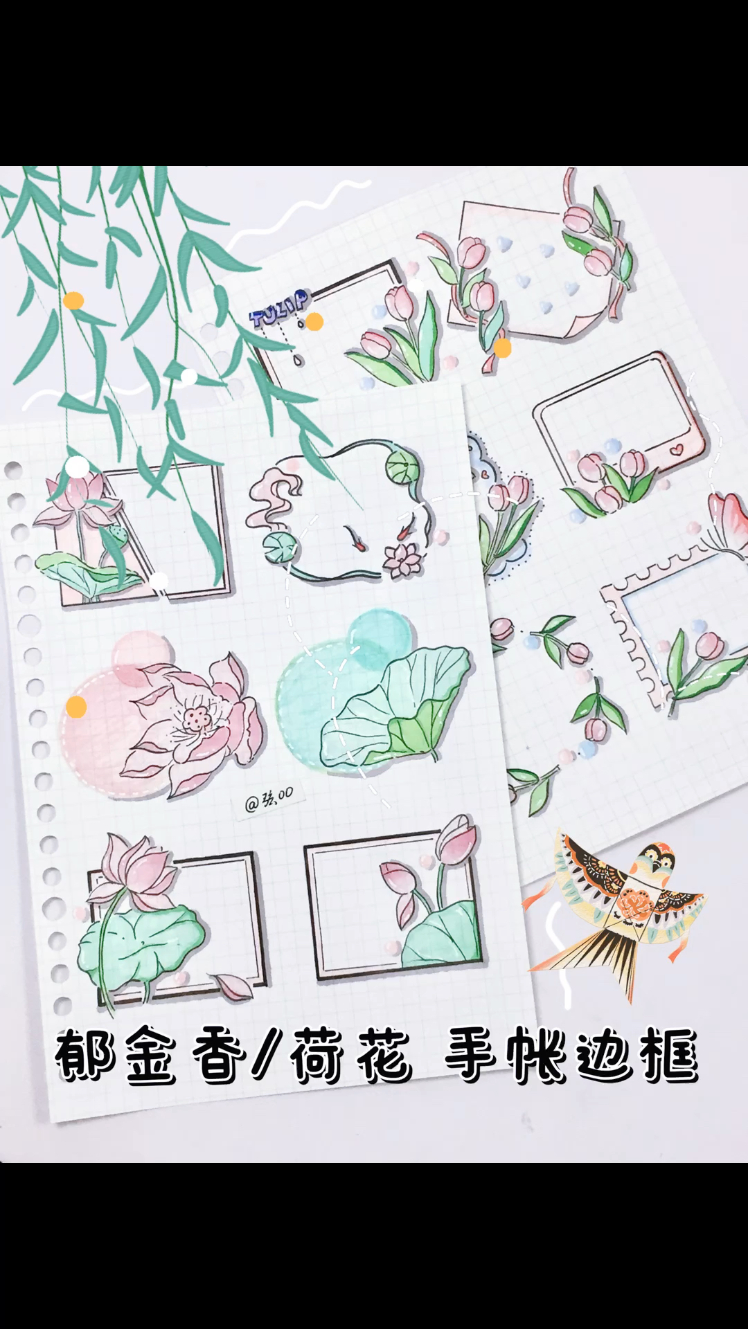 郁金香/荷花手帐素材边框