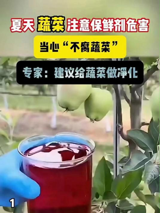 家用洗菜机超声波净化一键去除农药残留细菌果蔬净化器#果蔬清洗机#瓜果蔬菜清洗机#厨房神器#