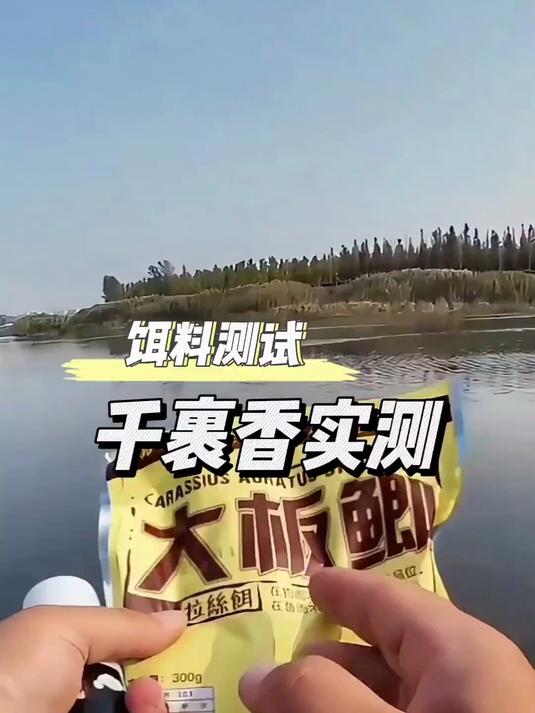 冬季钓鱼,饵料添加千里香究竟有无区别?