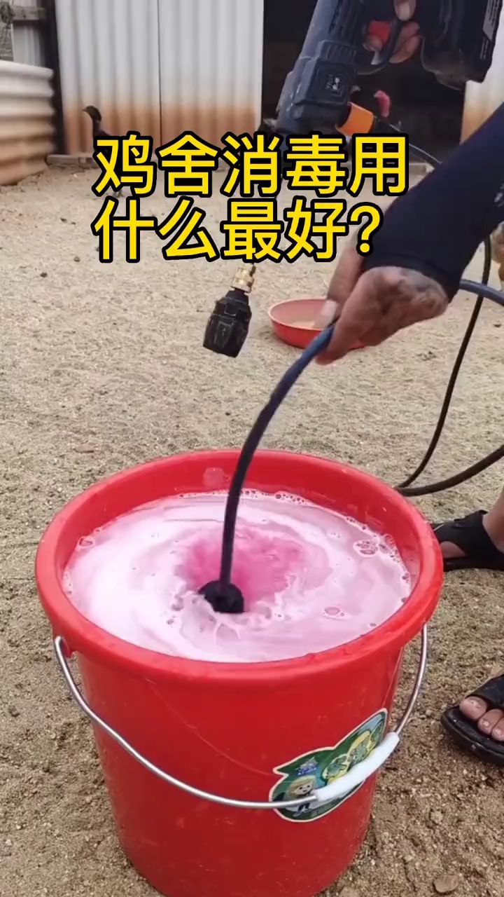 鸡舍消毒用什么最好