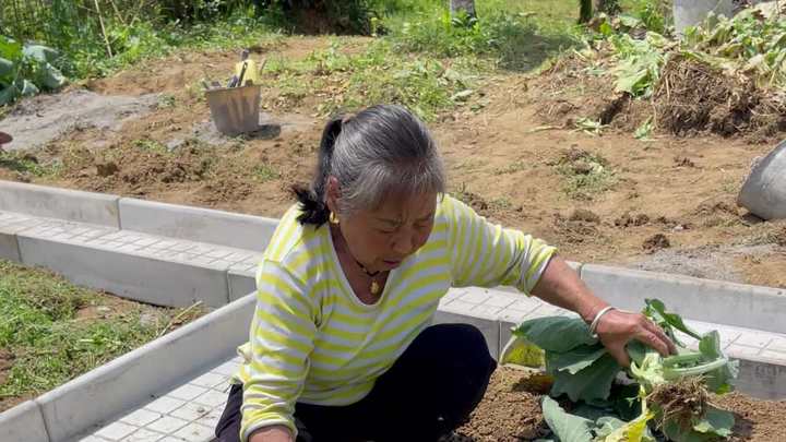 爸妈在小院里种菜喝茶,是你羡慕的吗