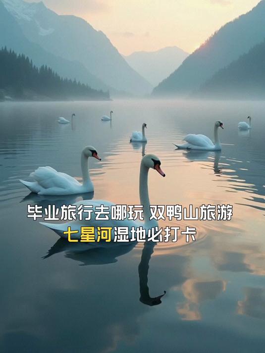 双鸭山旅游,七星河湿地必打卡,毕业旅行好去处