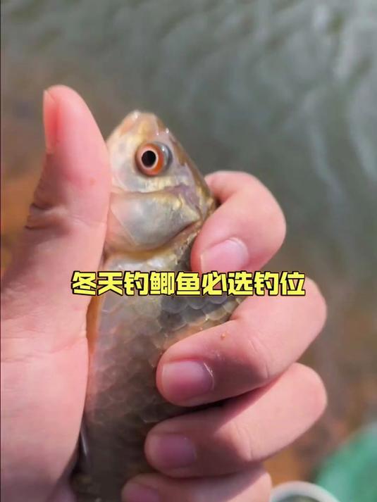水库钓鱼必选位置