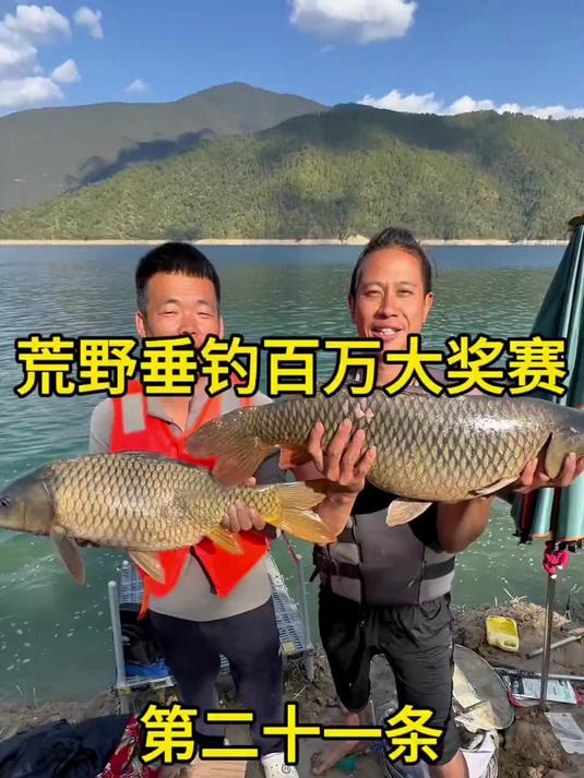 今天大鱼真多啊