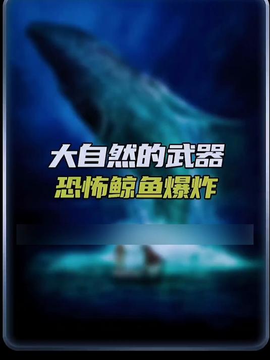 藏在深海的 “炸弹”:鲸鱼爆炸为何堪称自然凶器?