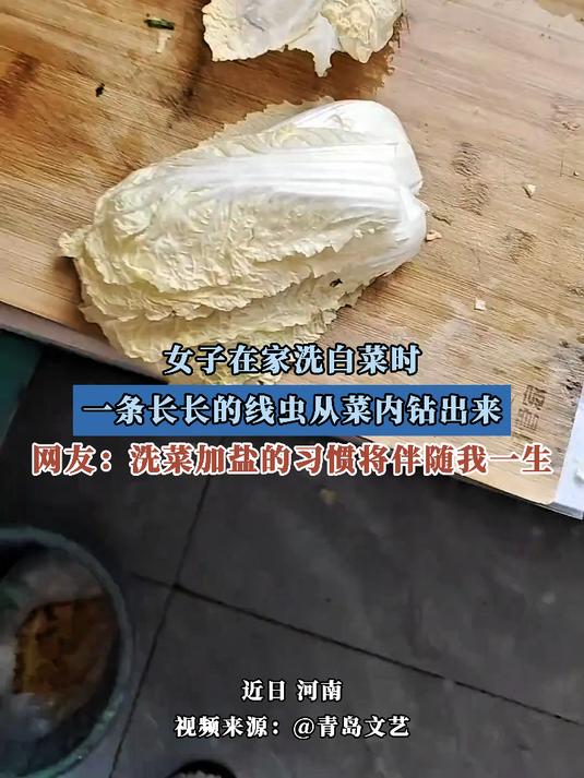 女子在家洗白菜时,一条长长的线虫从菜内钻出来