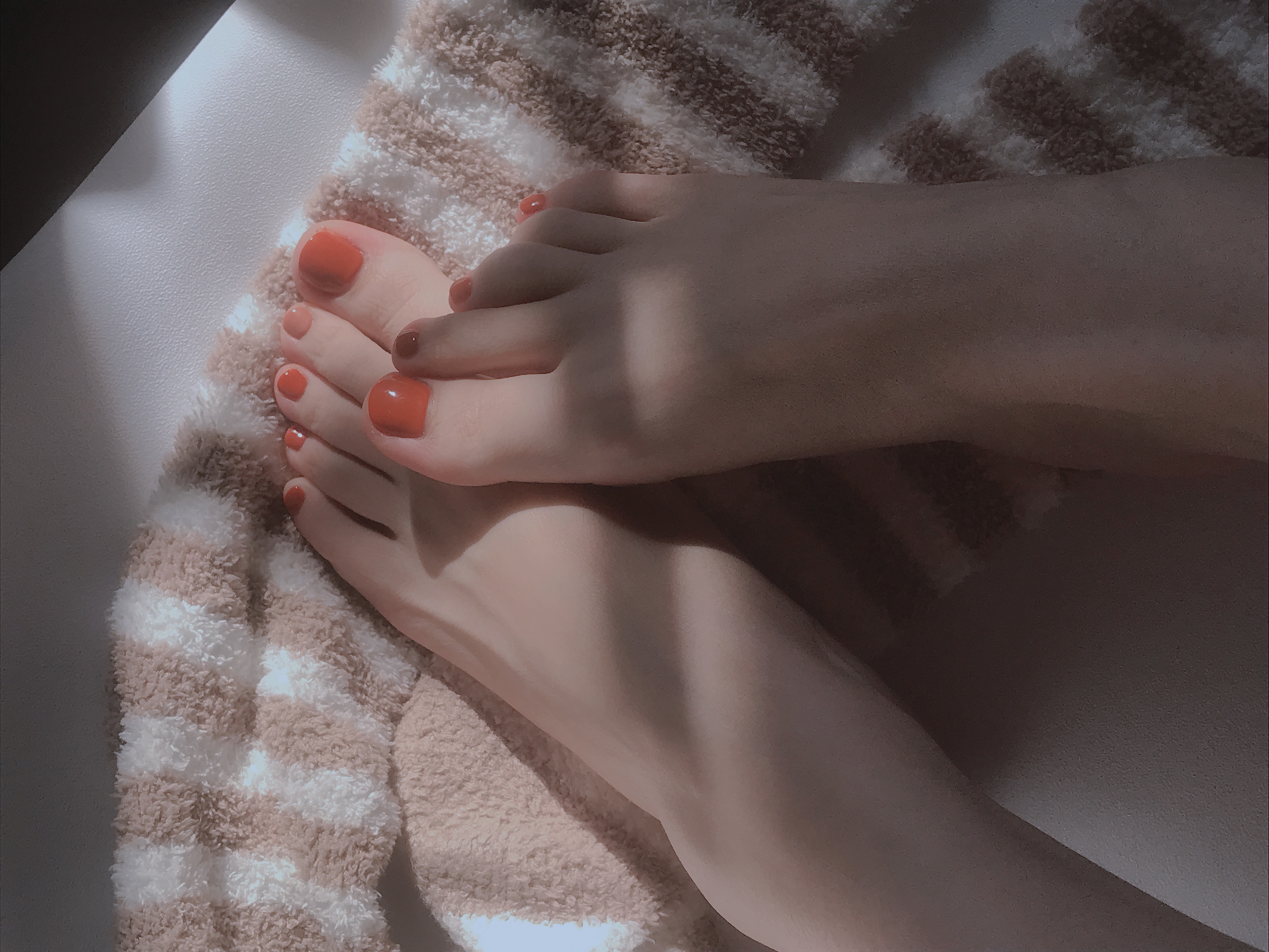 图片[2]-雪晴 – NO.014 美腿美足美臀[178P+2V956M]-六色网