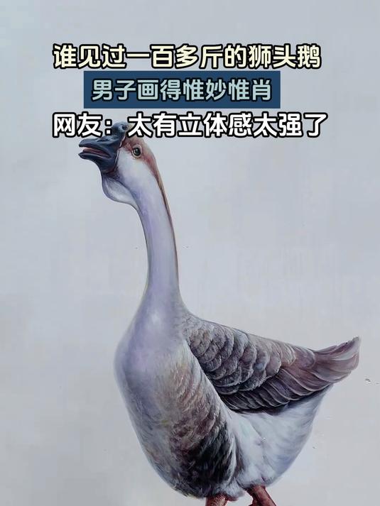 谁见过一百多斤的狮头鹅,男子画得惟妙惟肖