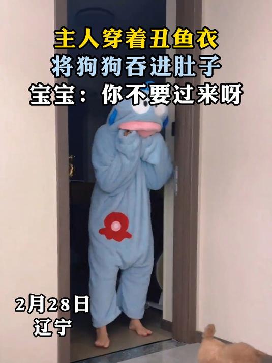 主人穿着丑鱼衣,将狗狗吞进肚子,宝宝:你不要过来呀