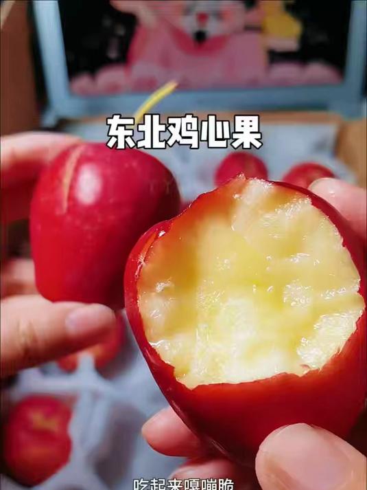 一年就这一季,来自东北特有的海棠果也叫鸡心果