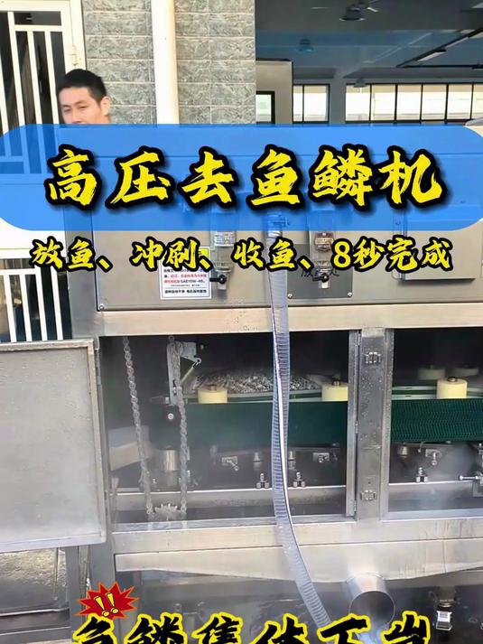 高压去鱼鳞机鱼鳞的终结者输送带自动传送自带九个高压水枪喷头精