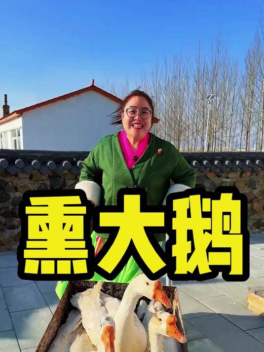 猫冬今天才不到零下20度，做两只熏大鹅东北农村美食
