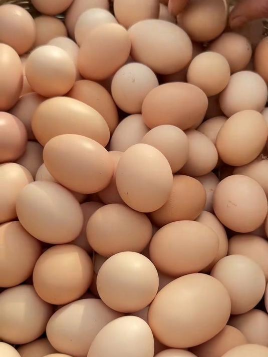 怕买到假的土鸡蛋?我教你鉴别正宗土鸡蛋的方法!