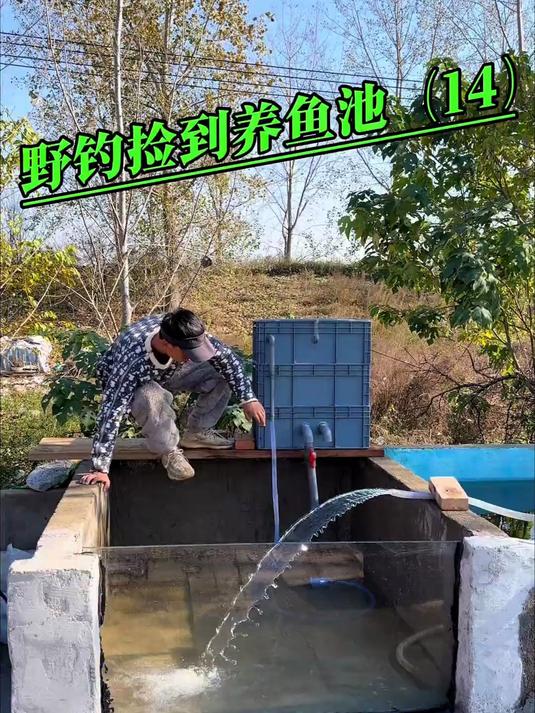 户外野钓露营改造养鱼池