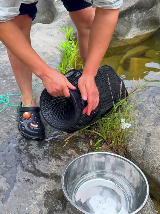 我用这个大鱼笼每次都能抓不少鱼