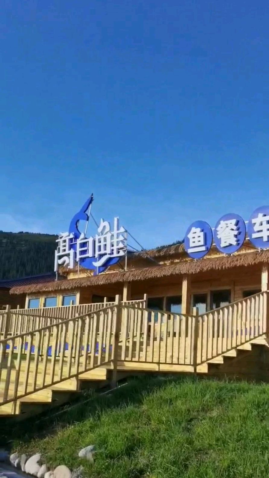 新疆赛里木湖野生高白鲑鱼你吃过吗