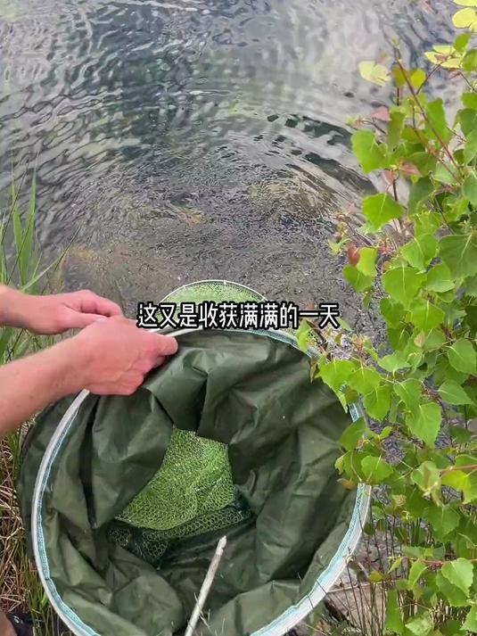 湖里钓的这种大个的新鲜野生鱼,做出来的万州麻辣烤鱼