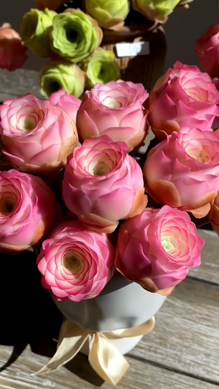 多肉山地玫瑰永不凋零的玫瑰红玫瑰黄玫瑰粉玫瑰