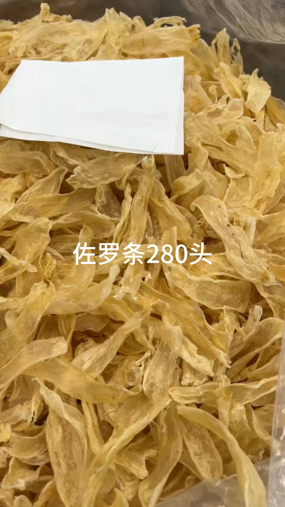 花胶鱼胶每日分享