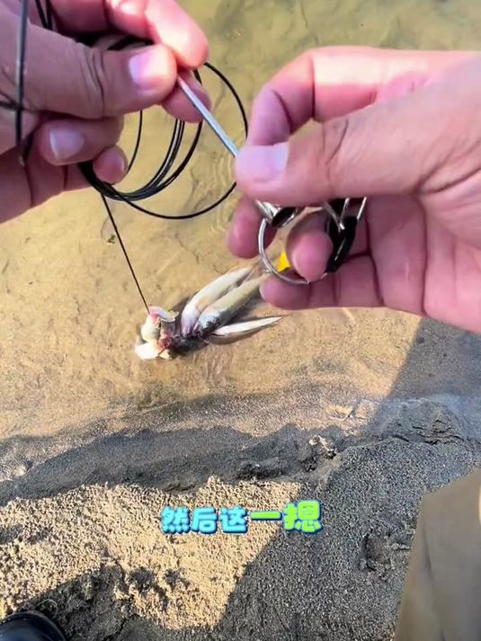 路亚便携串鱼绳:304 钢针锁鱼,快速带锁扣,可挂实用超省心!