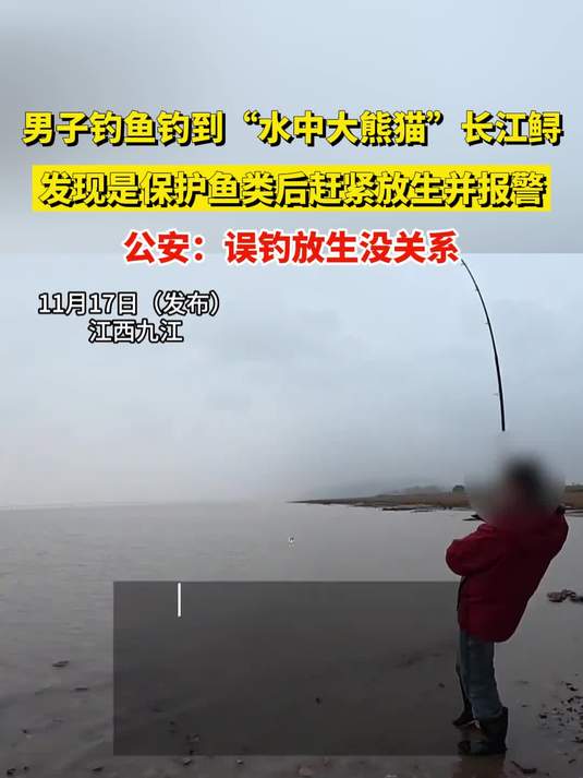 男子钓鱼钓到“水中大熊猫”长江鲟,发现是保护鱼类后赶紧放生