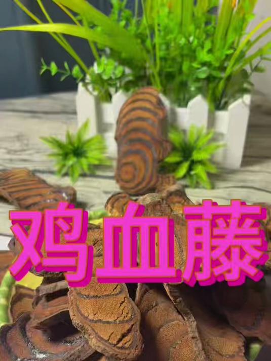 鸡血藤泡水煮水#喝出好气色##中药养生##鸡血藤泡水##补气血神器##熬夜党救星##女生必