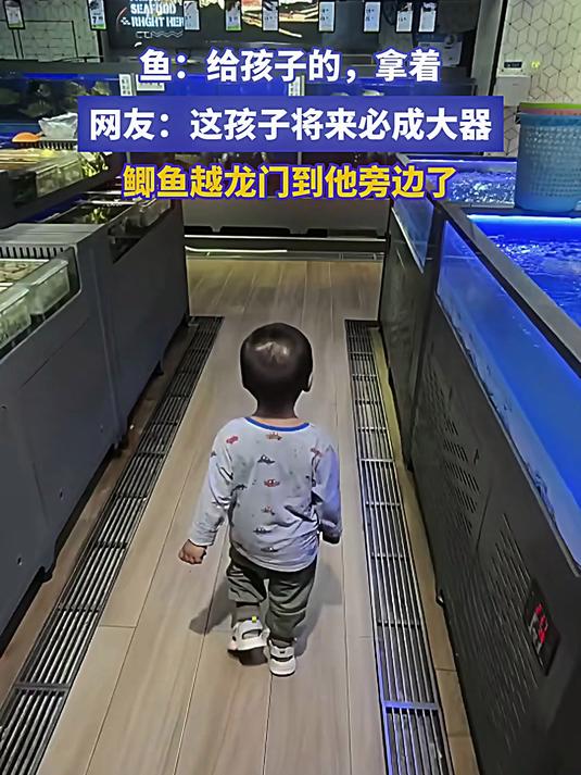 鱼：给孩子的，拿着 网友：这孩子将来必成大器。鲫鱼越龙门到他旁边了#宝藏城市漫游记#