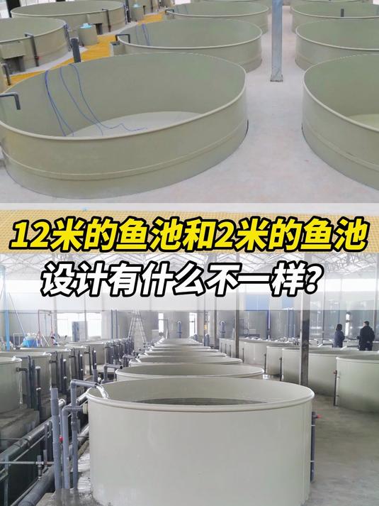 12米的鱼池和2米的鱼池,设计有什么不一样?