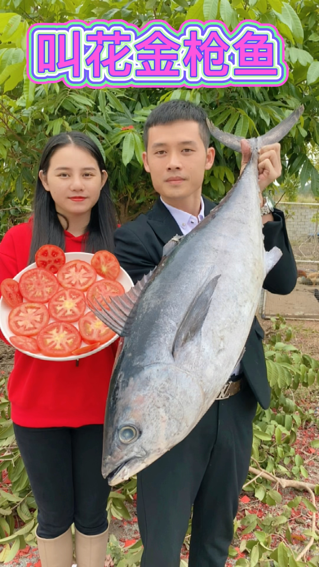 这么大的金枪鱼你吃过吗