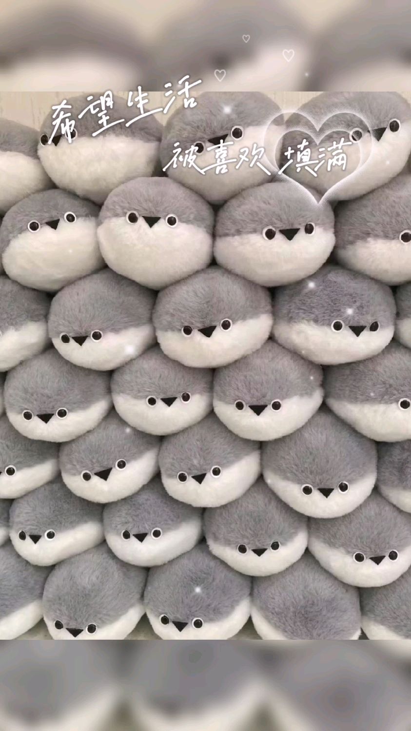 不会还有人没有这条萨卡班鱼吧