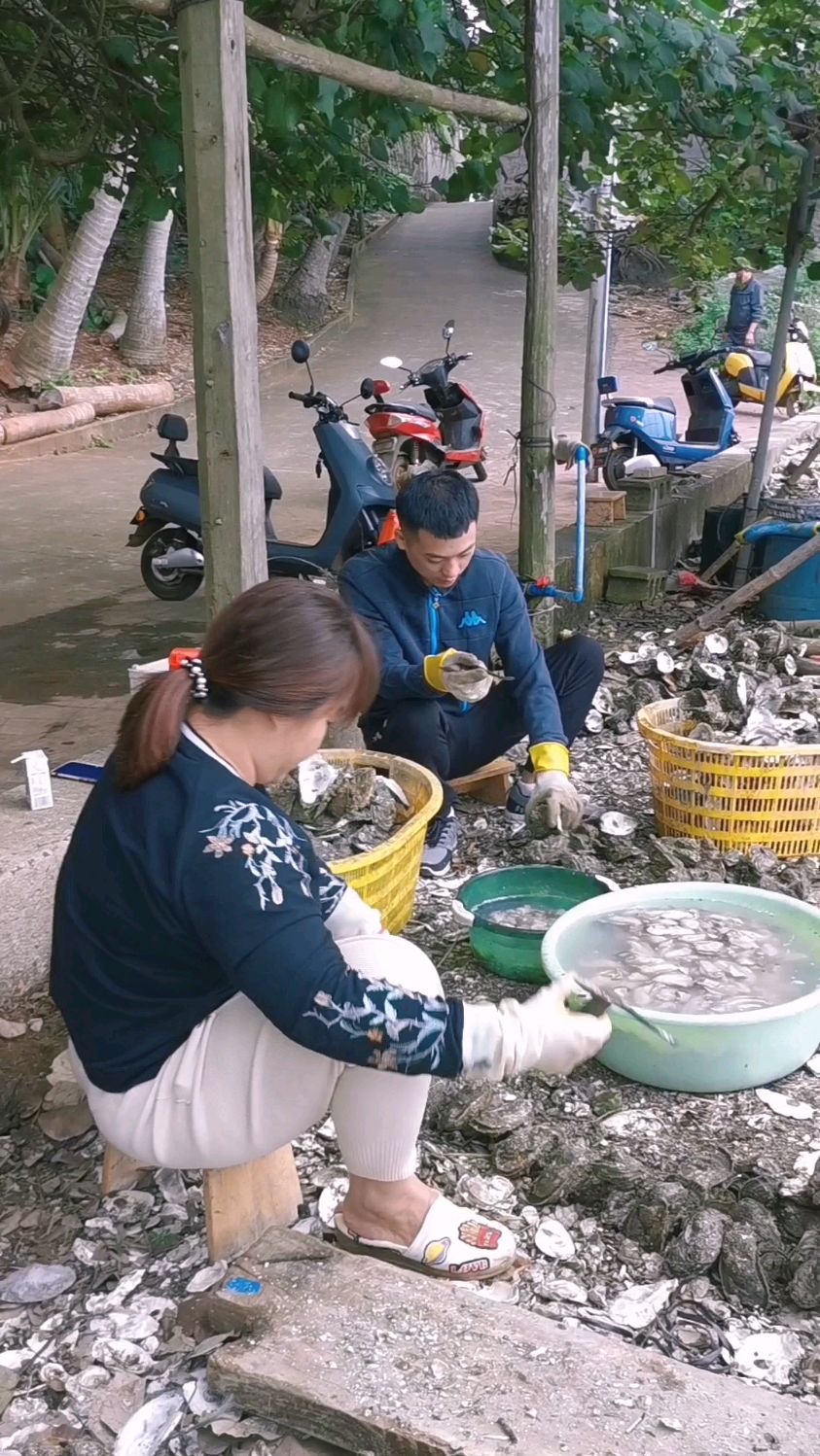海南租车自驾游发现咸水鸭