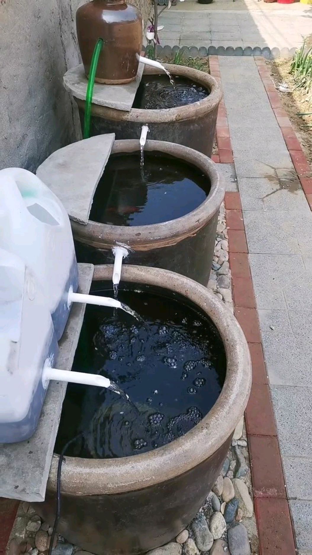 废物再利用,没啥用的旧水缸改造成鱼缸!