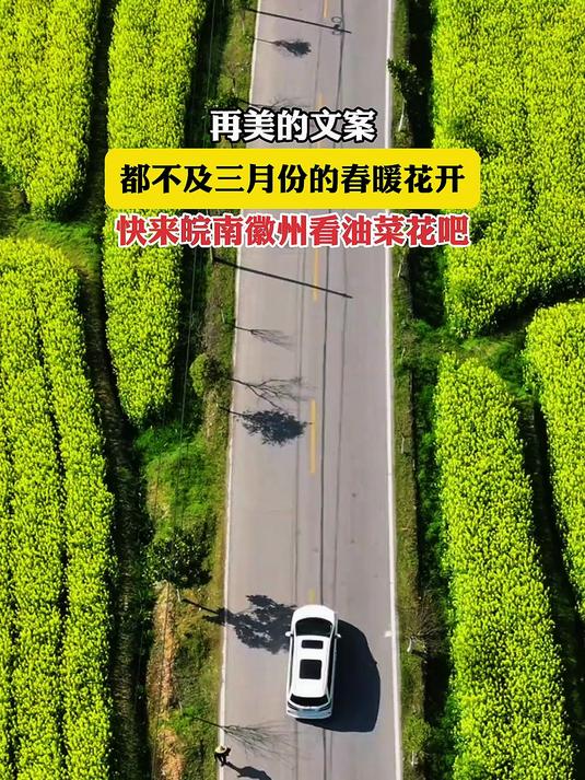 再美的文案,不及三月份春暖花开,皖南微州看油菜花吧。旅游推荐