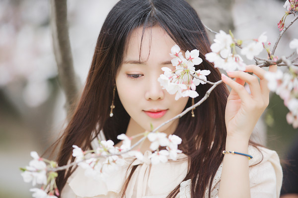 图片[11]-三生三世，百里樱花-六色网