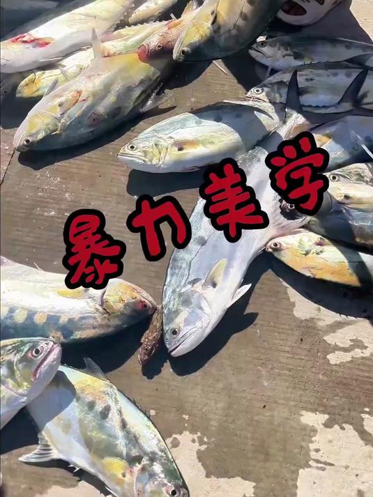 谁懂啊，路亚上鱼到胳膊酸！很猛很暴力！